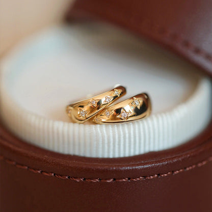 Luxurious Gold and Silver Earrings